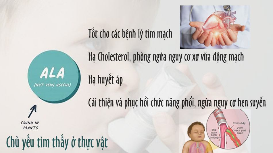 Alpha-Linolenic Acid đem lại khá nhiều công dụng