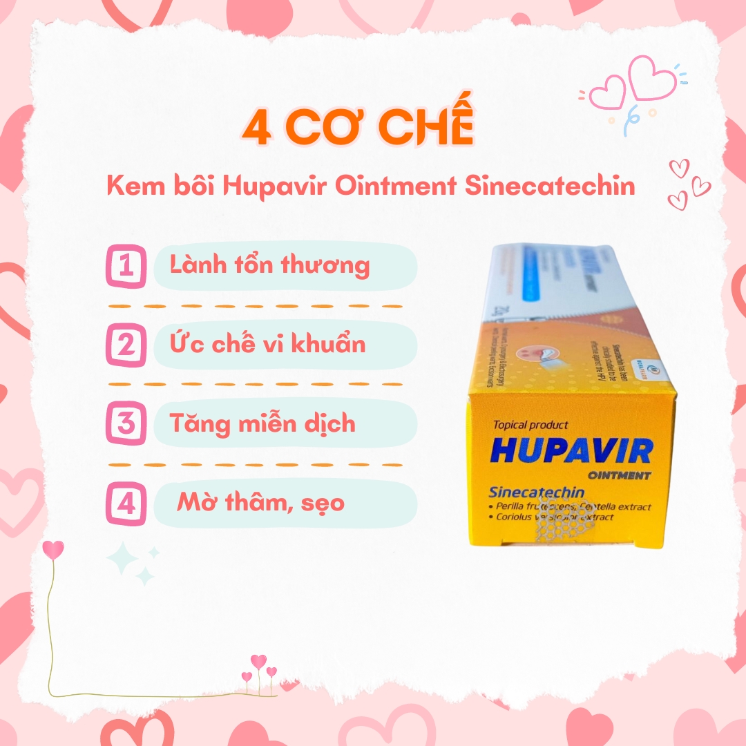 Kem bôi Hupavir Ointment Sinecatechin